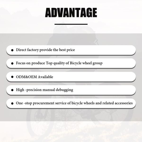 28H Spoke Hole Wheelset Rim Aluminum Alloy 29 Inch Mountain Bike Rims HELIX TR25