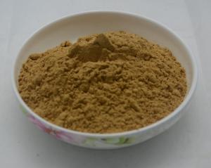 China graviola leaves extract,graviola guanabana liquid extract,graviola dry leaf extract on sale
