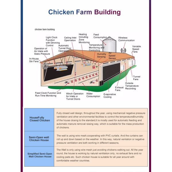 Modern Q355B Grade Metal Frame Building Poultry Farm Structure Long Life Span