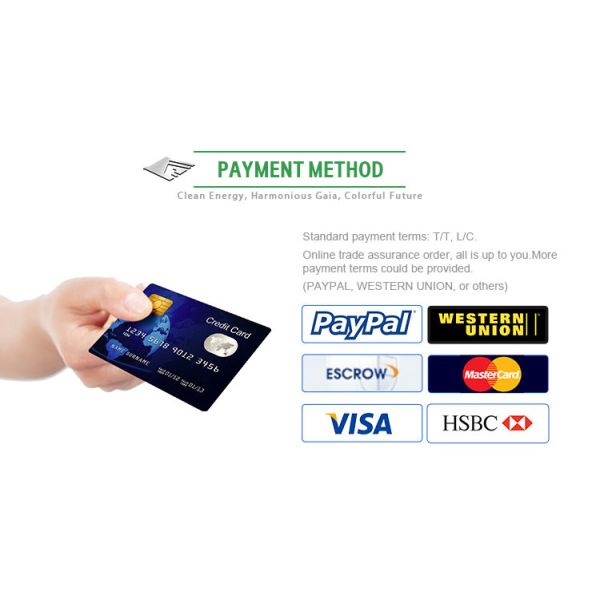 Intelligent Autos 2023 Hycan Z03 Electric SUV Car with 430km Long Range 150km/h High Speed and Pure Electric Power Type